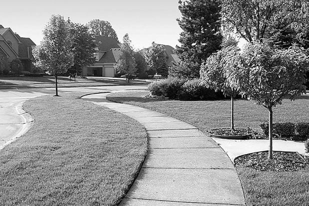 How to Keep Your Lawn Looking Green