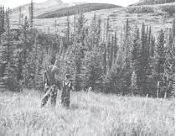 How to prepare youngsters for their first hunting trip