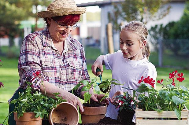 7 Activities to Commemorate the Spring Equinox