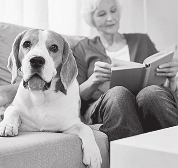 How to Stay Mentally Sharp After Retirement