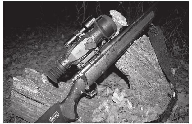 NIGHTTIME IS THE RIGHT TIME FOR HOG HUNTING