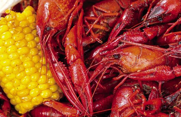 Multiple Factors, Including Severe Drought, Result in Meager Crawfish Harvest and Higher Prices