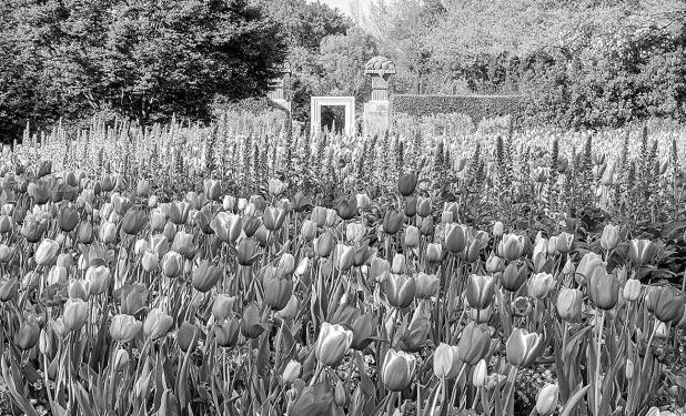 Dallas Arboretum Memorial Day Family Fun Weekend May 25 to 27