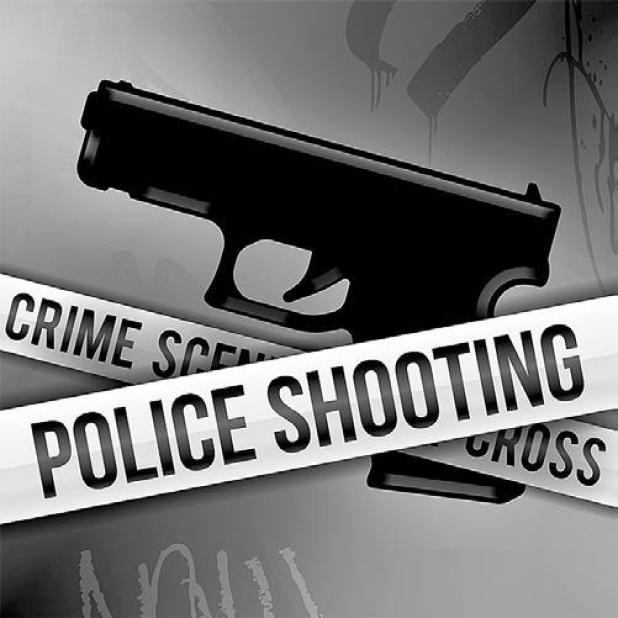 Guns and Domestic Violence: A Dangerous Combination for Everyone