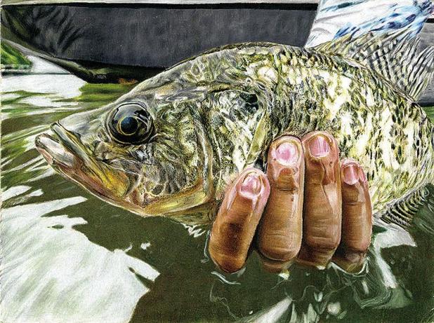 Three Texas Students Garner National Fish Art Contest Honors