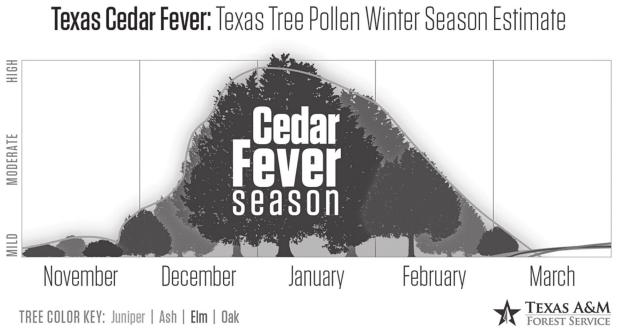 Cedar Fever Season in Texas