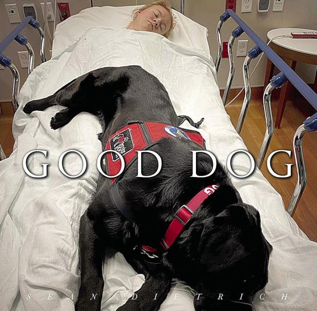 Good Dog