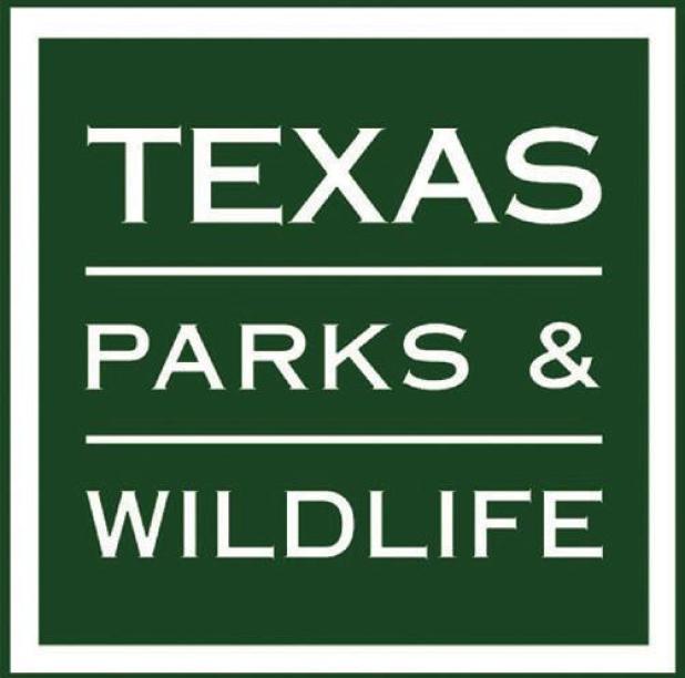 Harvest Authorization Drawing Opened for Trinity River Alligator Gar