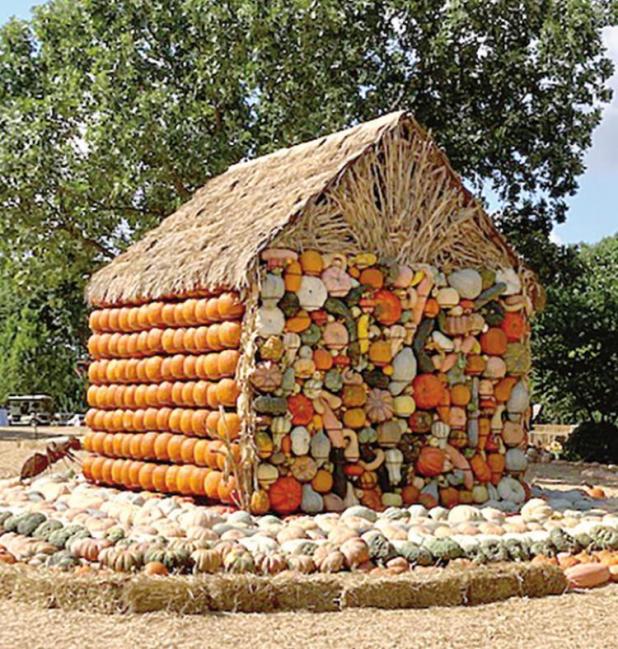 2021 Autumn at the