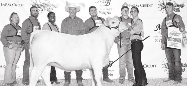 TVCC Beef Cattle Show Team Brings Two Grand Champion and Six First Place Awards Home to Athens
