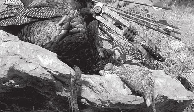 TURKEY SEASON AHEAD