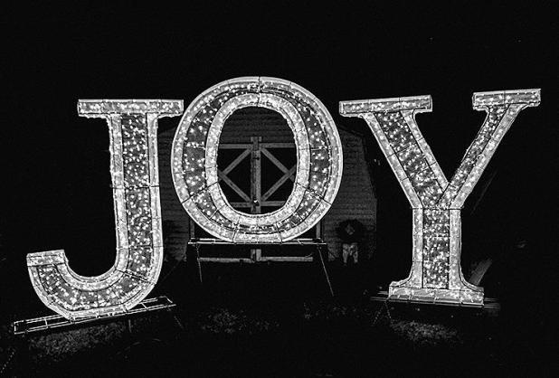 Finding Joy - A Fable