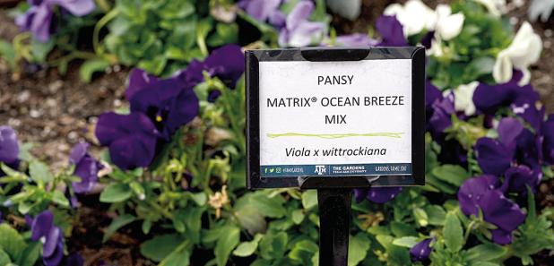 15 Tips to Prepare Your Garden for Winter