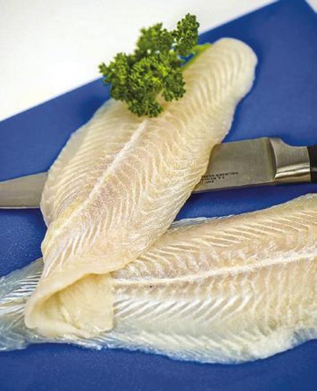 The Nutritional Value of Popular Types of Fish
