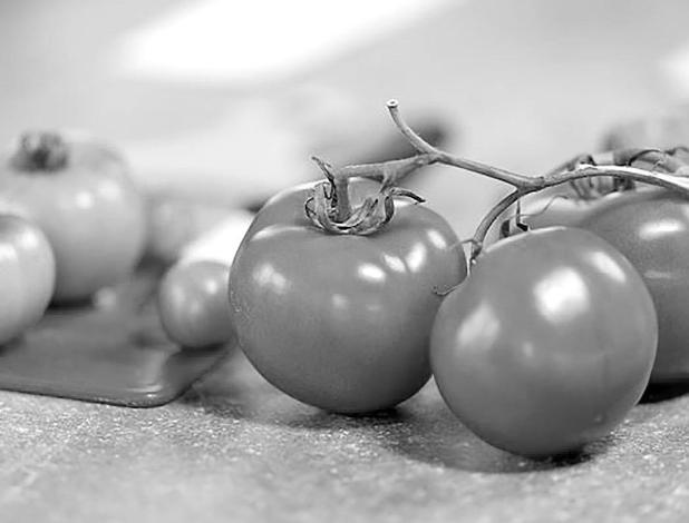Texas A&M AgriLife Research Leading Effort To Develop More High-Quality, Resilient Tomatoes