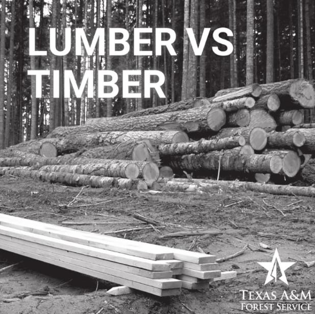 How the Surge in Lumber Prices is Affecting Landowners