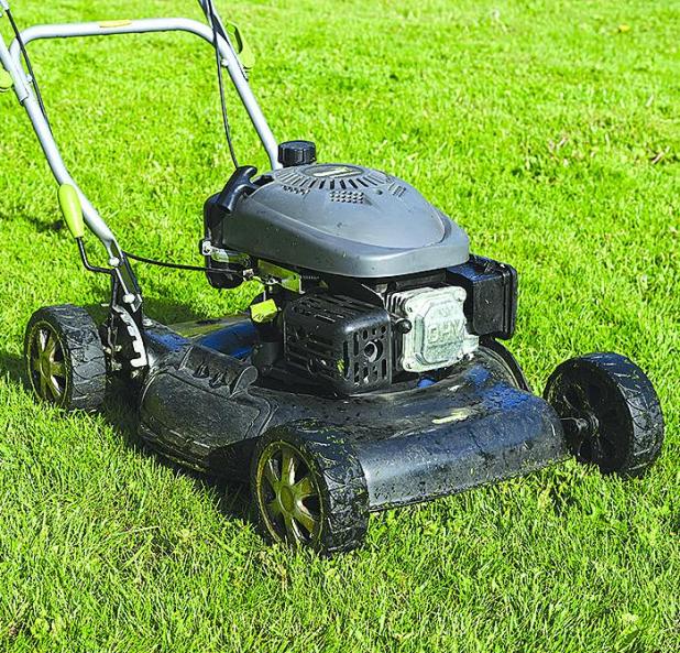 5 Steps to Get Your Yard Ready for Spring