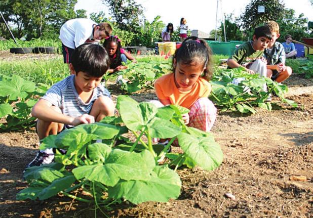 The Positive Effects of Gardening on Mental Health