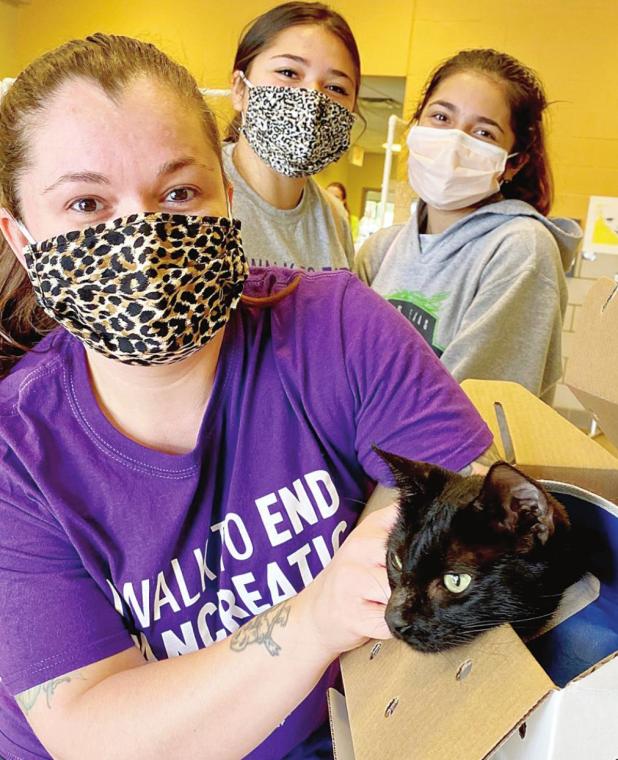 Mesquite Animal Shelter to Host Clear the Shelters event