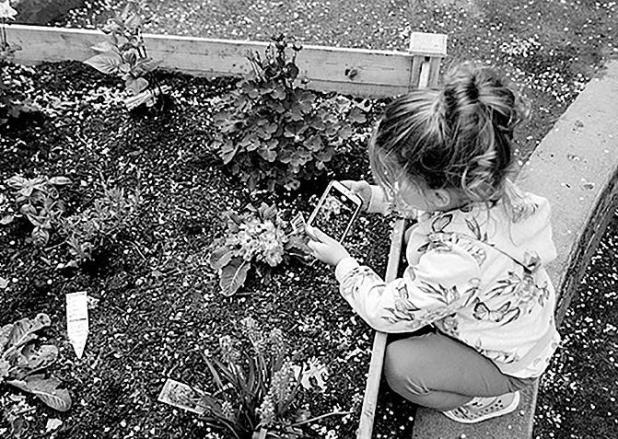 7 Frugal Gardening Tips and Tricks