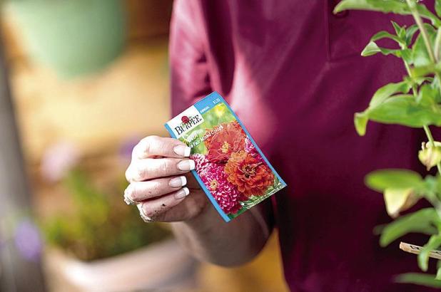 Don’t be Caught Off Guard by Earlier Mild Temperatures, Make Garden Resolutions for 2024