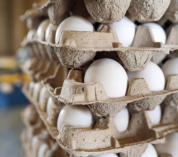 Egg Prices Continue To Climb