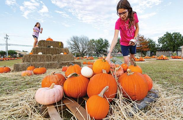 Creative Ways to Use Pumpkins This Fall
