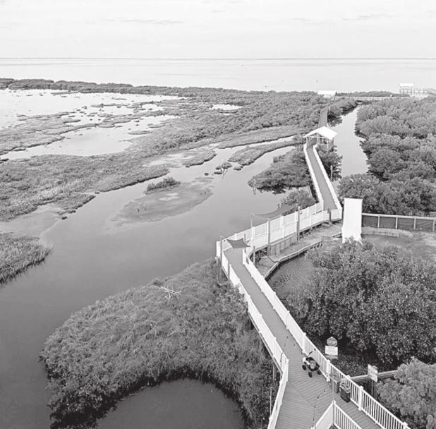 Despite Pandemic, Great Texas Birding Classic Saw Record Participation in 2020