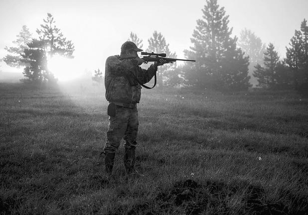 Stellar Deer Season Expected This Fall