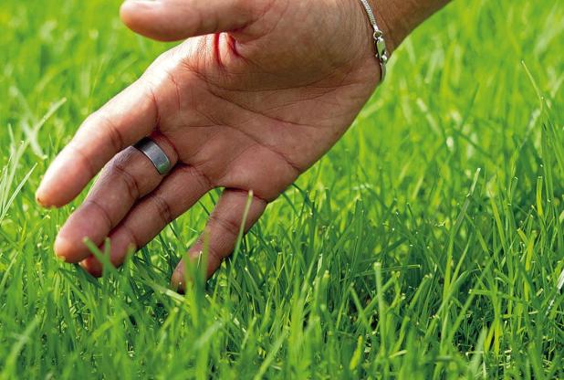 Four Tips for Easier Mowing and Keeping Lawns Lush