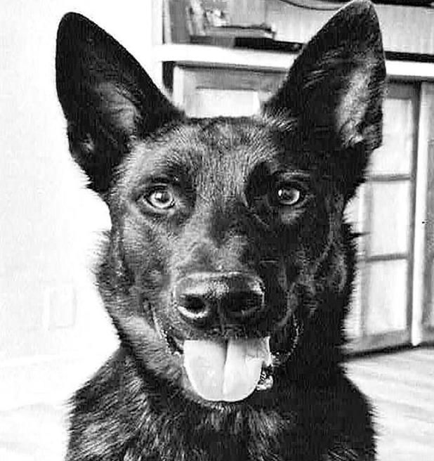 Talty P.D. Welcomes a New Officer