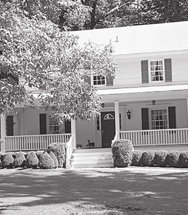 Tips When Planting Shade Trees
