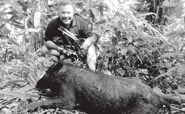 THERE’S HOGS IN THEM THAR HAWAIIAN HILLS!