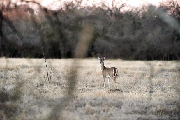 Ensuring a Safe and Memorable Hunting Season