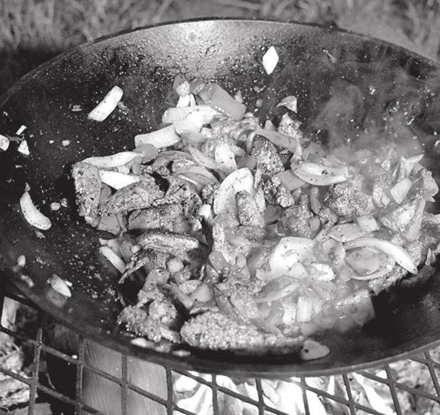 CAMP FAJITAS 101