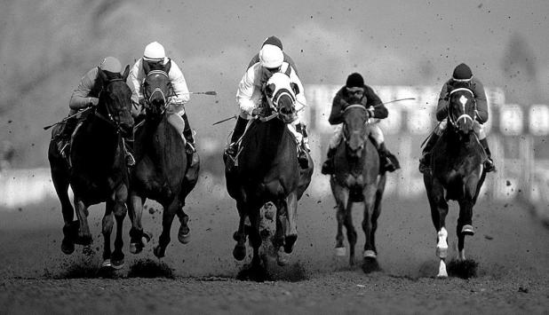 How to Experience the Thrill and Majesty of Kentucky Horse Racing