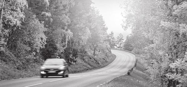 Tips to Take a Safe and Affordable Fall Road Trip