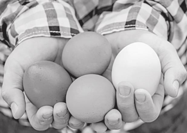 Create and Hide Unbreakable Easter Eggs