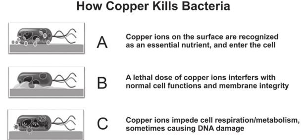 Will COPPER be the Modern-Day GOLD?