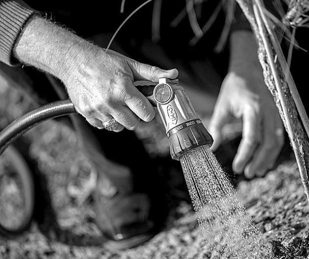 Protect Your Garden From Water Stress Caused by Too Much, Not Enough Rain