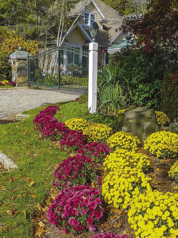 A Beginner’s Guide To Fall Planting And Maintenance