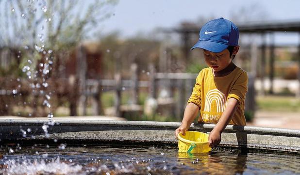What are the Symptoms of Heat Stroke?