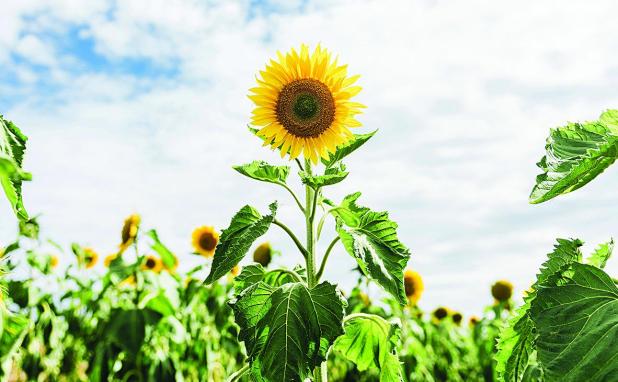 Finding Purpose in the Moment