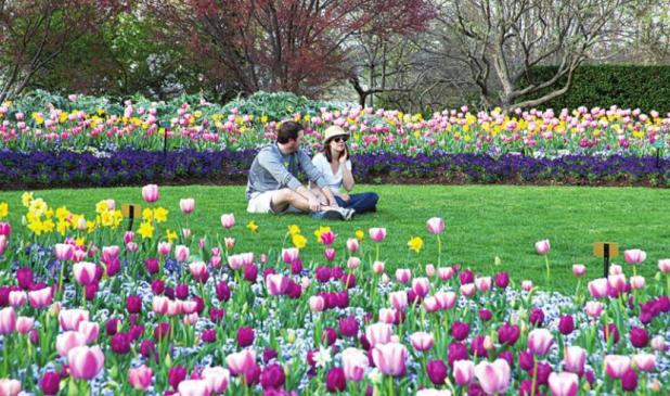 Dallas Arboretum Announces Easter Weekend Festivities April 15 to 17