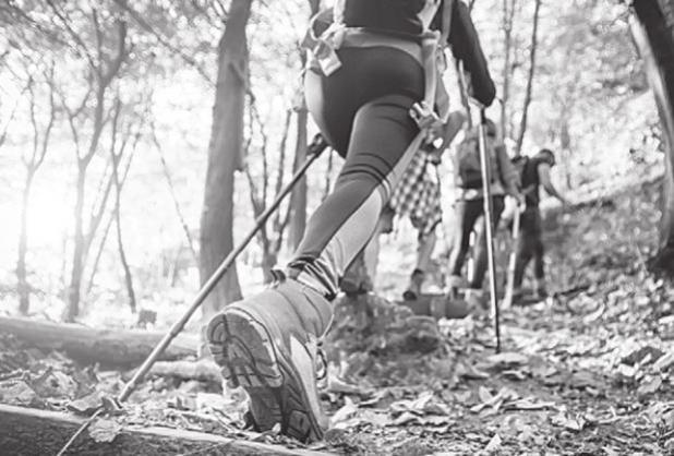 5 Hobbies to Keep Your Body and Mind Healthy and Happy