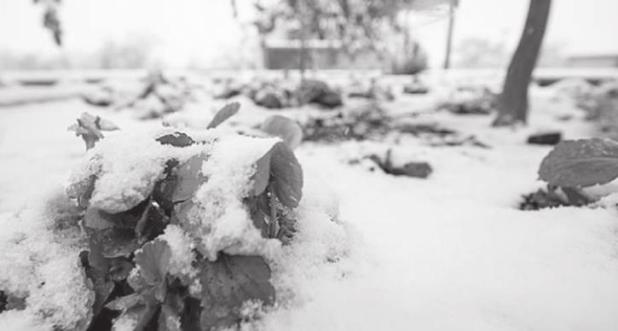 Cold Temperatures are Around the Corner