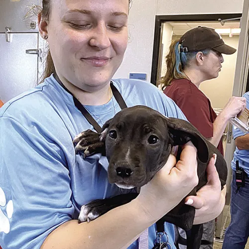 Over 100 Pets Receive Free Vaccinations at Kaufman County Pet Adoption Center Clinic