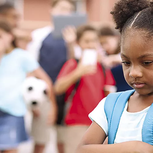 Did You Know, Bullying at School