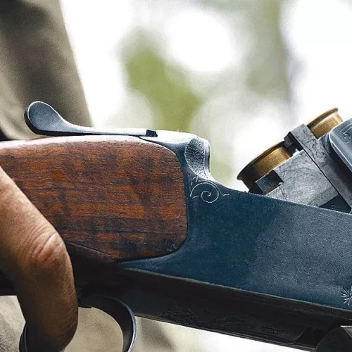Slight Increase in Hunting Accidents Highlights Need for Vigilance in the Field