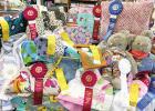 	Area Sewing Students Awarded Ribbons at State Fair of Texas 